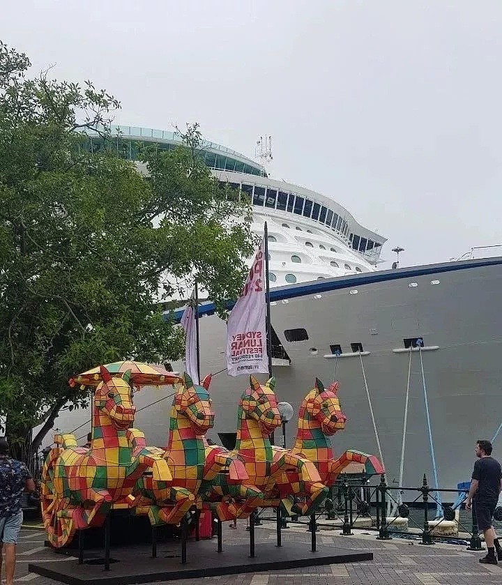 北上广成空城，澳洲却满满年味中国红！一树的猪爬上树，骚气的猪跳广场舞！ - 64