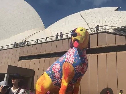 澳洲的猪年装饰也太骚了吧，歪果仁是不是对中国风有什么误解！ - 20