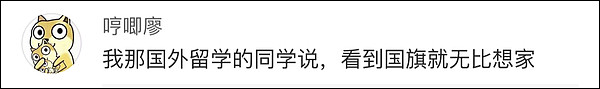 在美国“顺”走中国国旗？不，他只是想家了（组图） - 25