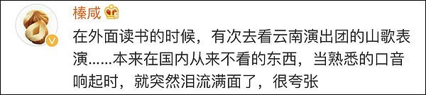 在美国“顺”走中国国旗？不，他只是想家了（组图） - 28