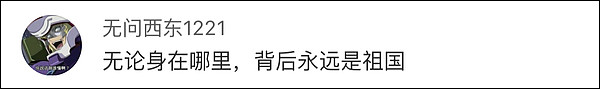 在美国“顺”走中国国旗？不，他只是想家了（组图） - 30