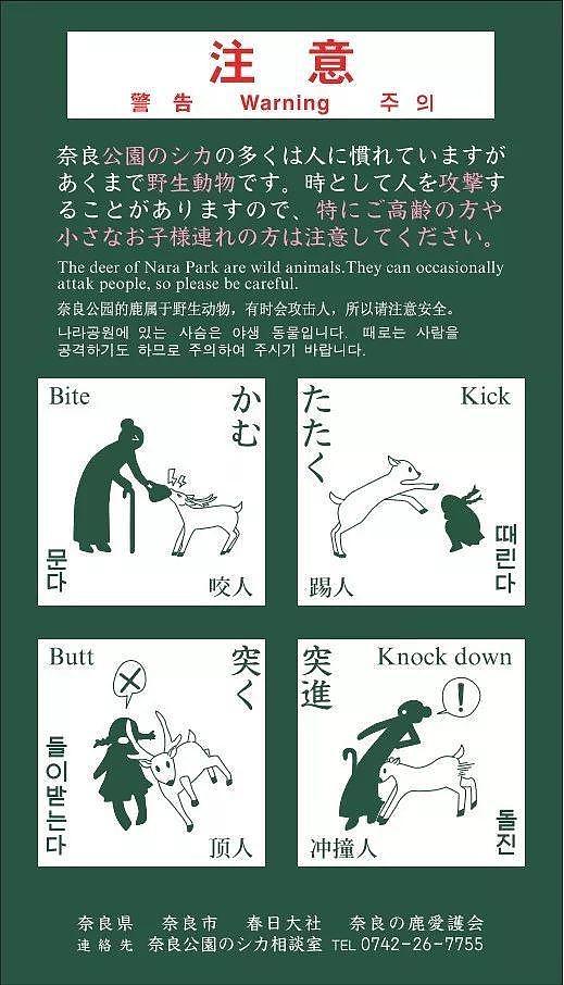 日本奈良鹿攻击游客事件创新高 治愈之鹿为何暴躁（组图） - 7