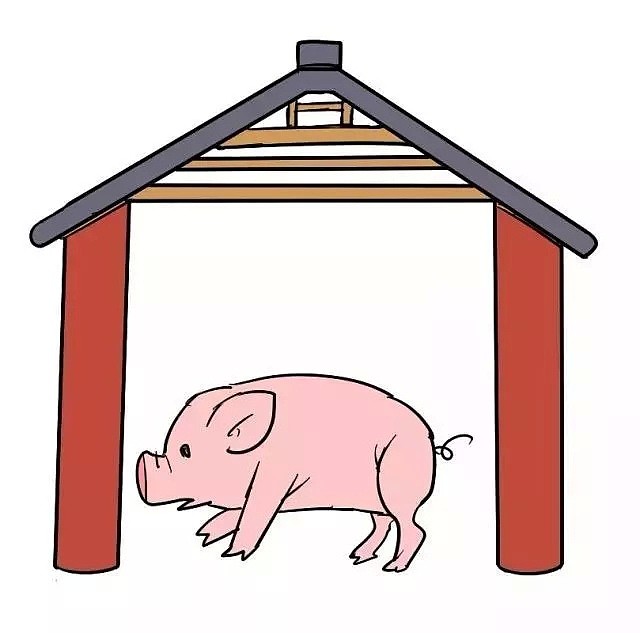 少吃猪肉 拯救地球？猪对中华民族到底有多重要（组图） - 4