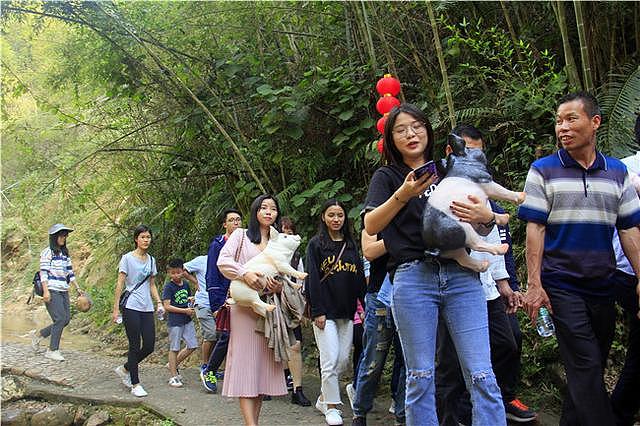 广东女游客将景区卡通猪抱走，景区大叔狂追300米将猪追回