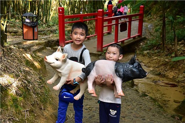 广东女游客将景区卡通猪抱走，景区大叔狂追300米将猪追回