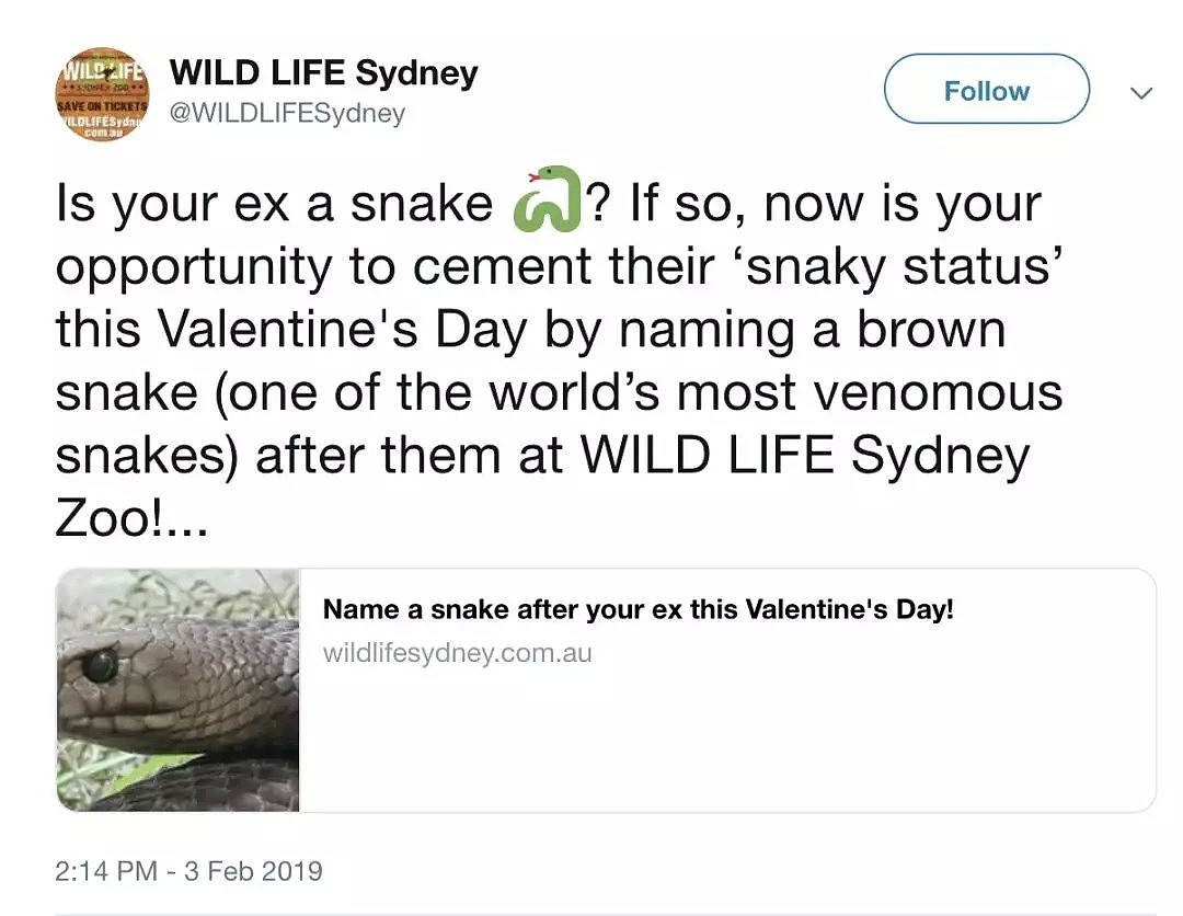 $1领养毒蛇用前任名字命名，还发证书！澳洲人，它们招你惹你了？（组图） - 3