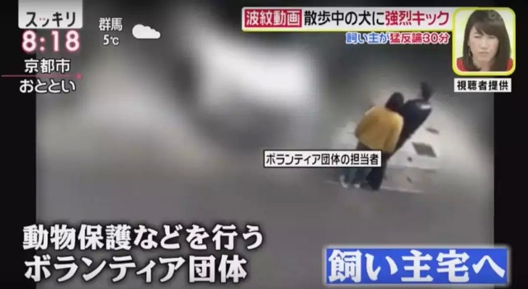 日本大妈狂踢狗狗肚子视频流出！还称不是虐待是教育！（组图） - 9