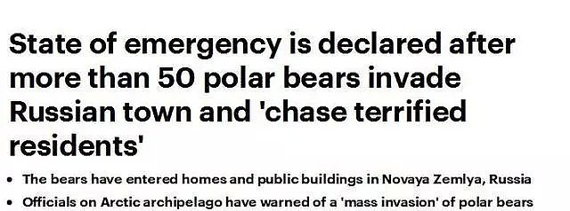 北极熊大规模入侵、澳洲大乱、种子库进水！比灾难更可怕的事，正在全球上演。。（组图） - 1
