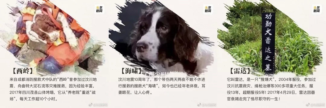 困扰中国人的一大难题，在《流浪地球》中找到了答案（组图） - 14