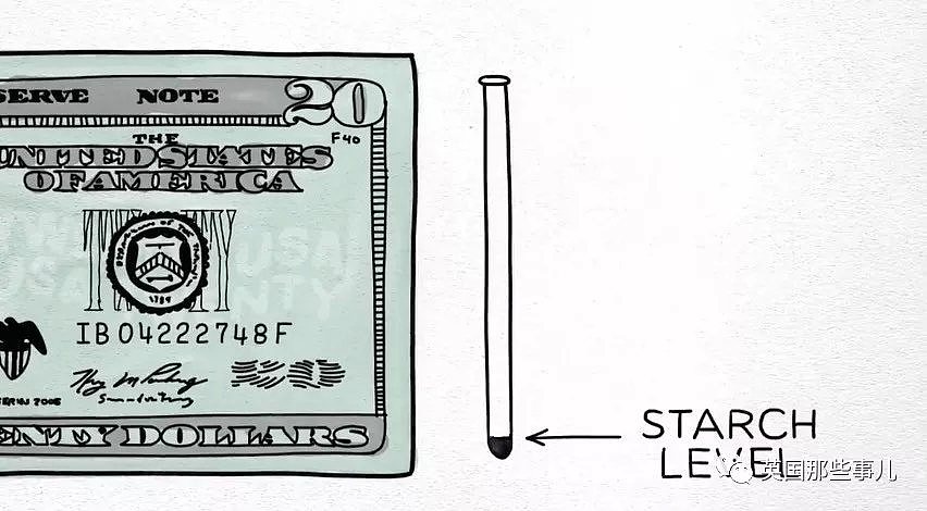 印出2.5亿美元伪钞的大佬自述：做假钞，最难一步，是纸（组图） - 14