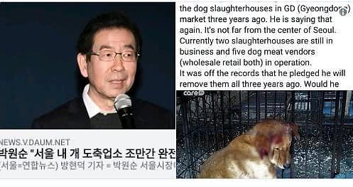 只有中国吃狗肉？韩国是唯一狗肉市场工业化国家（组图） - 3