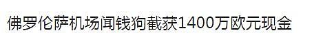 机场“闻钱犬”截获1400万欧现金！各国出入境携带现金数额需牢记，万不可和“狗鼻子”较劲！