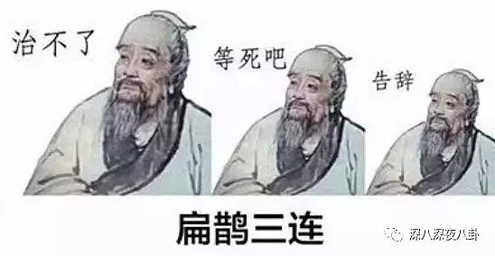 翟天临新瓜不停更，以刘亦菲为首的北电校友才是真“宝藏”（组图） - 63