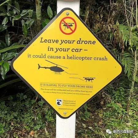 中国游客新西兰违规操作无人机，被直接没收（组图） - 9