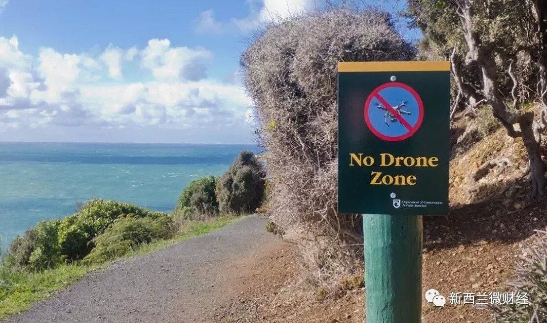 中国游客新西兰违规操作无人机，被直接没收（组图） - 23