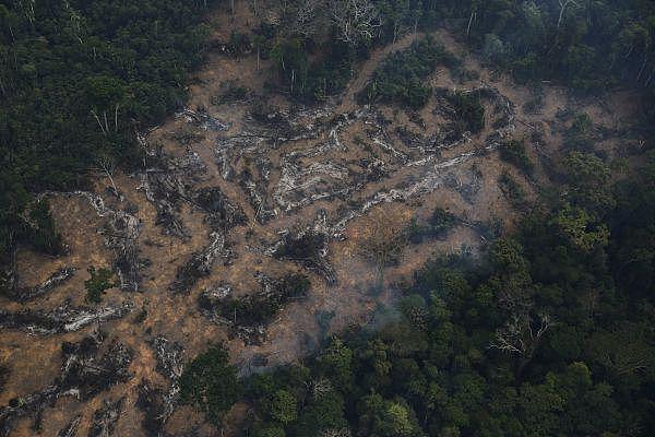 图为巴西境内被砍伐的亚马孙热带雨林（视觉中国）