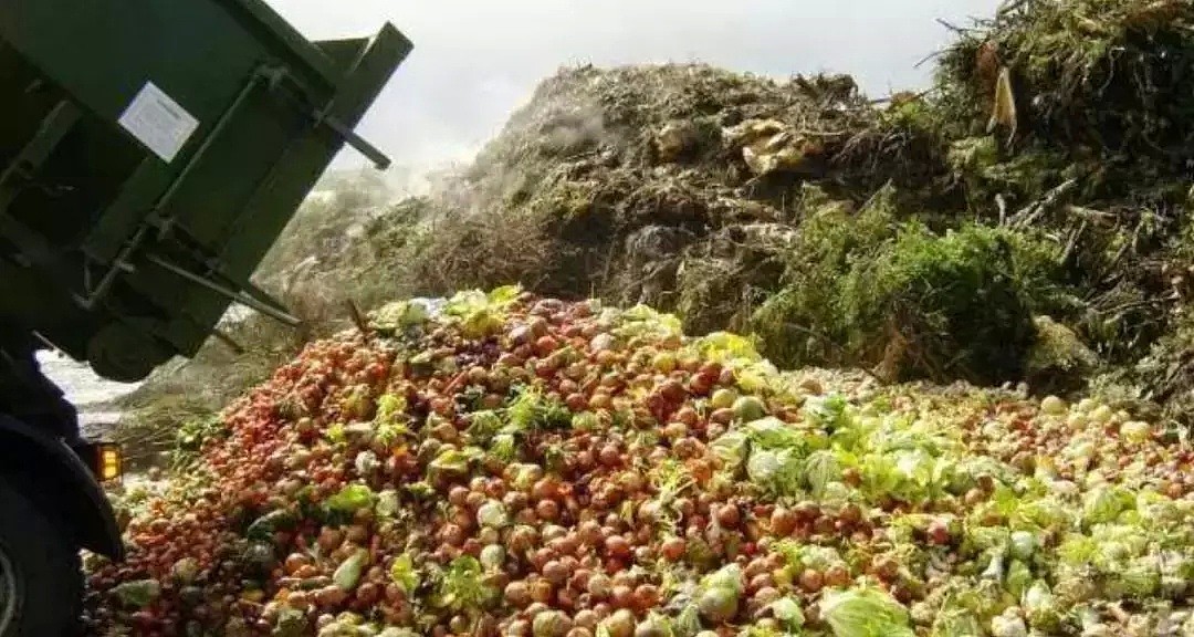 良心何在？St Kilda著名“凭感觉付费餐厅”被劫匪一扫而空！在这里，菜单没有定价，付多少餐费由你定！（组图） - 23