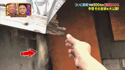 日本艺人花500万为父母改造新家，嘉宾吐槽：“像公厕”（组图） - 8