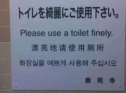 迷茫了 日本厕所神翻译对中国人要求太高！（组图） - 3