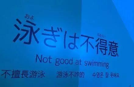 迷茫了 日本厕所神翻译对中国人要求太高！（组图） - 24