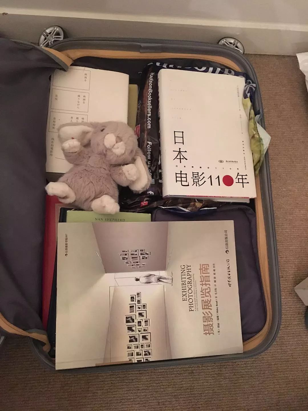 春节结束，澳华人开始返程！没想到，家人在行李箱塞了这些…（图） - 16