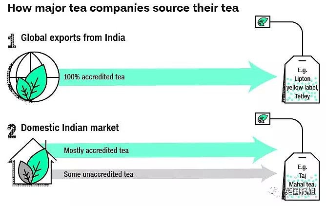 因为一杯奶茶，数千印度女人失去了孩子？！（组图） - 18