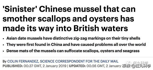 海瓜子入侵英国后泛滥成灾？中国人：吃就完事了
