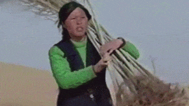 这个农妇“绿”了中国，惊动NASA和联合国，他们正在上演一场中国奇迹！（组图） - 17