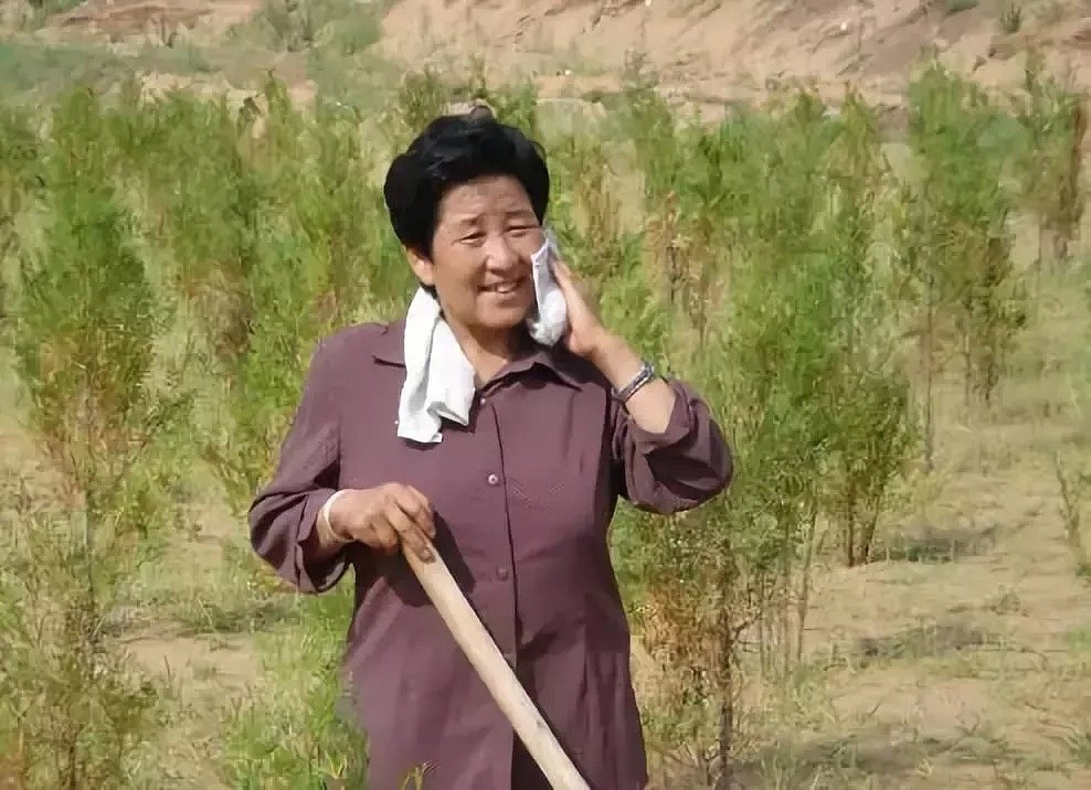 这个农妇“绿”了中国，惊动NASA和联合国，他们正在上演一场中国奇迹！（组图） - 40