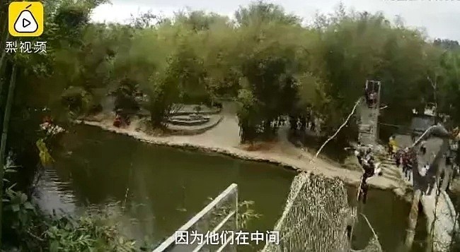 无知!中国游客暴力摇断钢索桥 6人瞬间悬空跌落（图） - 1
