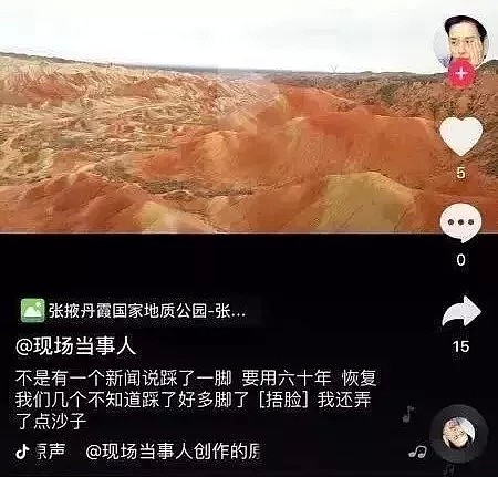 无知!中国游客暴力摇断钢索桥 6人瞬间悬空跌落（图） - 9