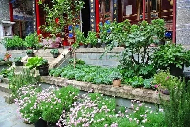 中国最美的尼姑庵，不烧香只种花，看一眼就想出家！韩红也慕名而来（组图） - 5