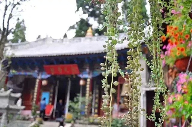 中国最美的尼姑庵，不烧香只种花，看一眼就想出家！韩红也慕名而来（组图） - 12
