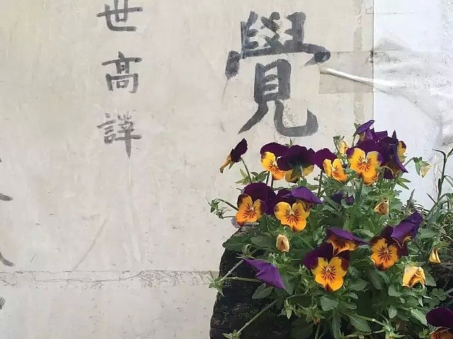 中国最美的尼姑庵，不烧香只种花，看一眼就想出家！韩红也慕名而来（组图） - 65