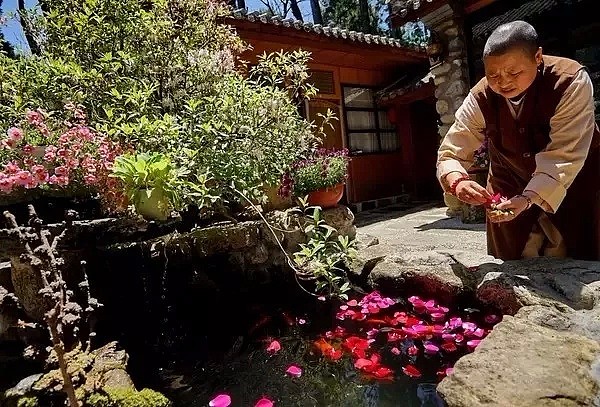 中国最美的尼姑庵，不烧香只种花，看一眼就想出家！韩红也慕名而来（组图） - 66