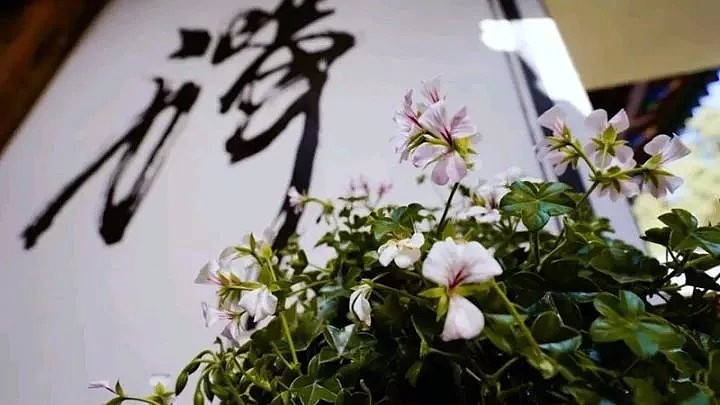 中国最美的尼姑庵，不烧香只种花，看一眼就想出家！韩红也慕名而来（组图） - 71