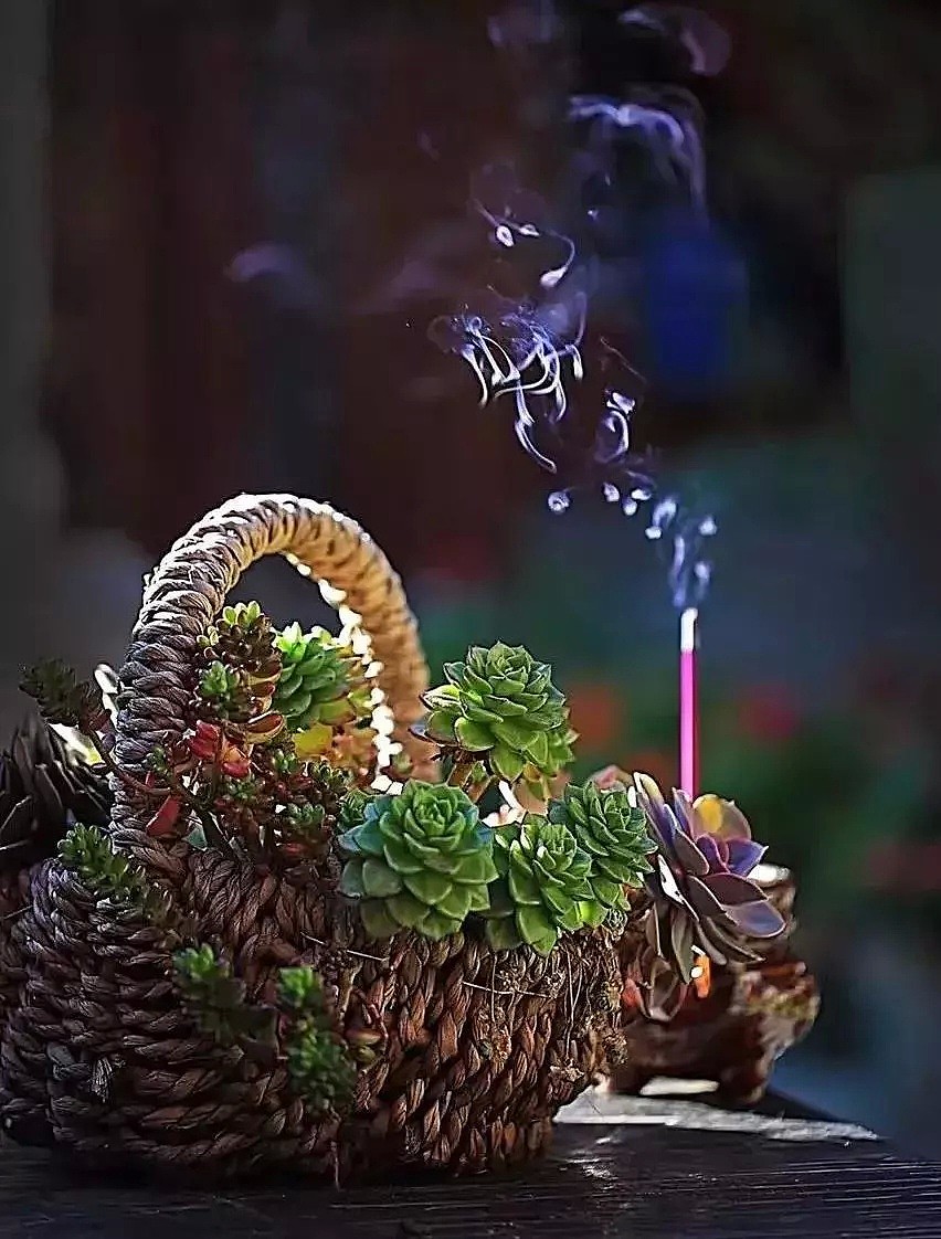中国最美的尼姑庵，不烧香只种花，看一眼就想出家！韩红也慕名而来（组图） - 72