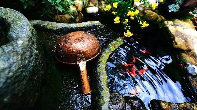 中国最美的尼姑庵，不烧香只种花，看一眼就想出家！韩红也慕名而来（组图） - 73