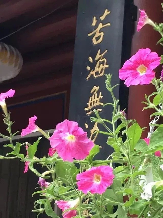 中国最美的尼姑庵，不烧香只种花，看一眼就想出家！韩红也慕名而来（组图） - 75