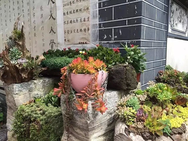 中国最美的尼姑庵，不烧香只种花，看一眼就想出家！韩红也慕名而来（组图） - 76