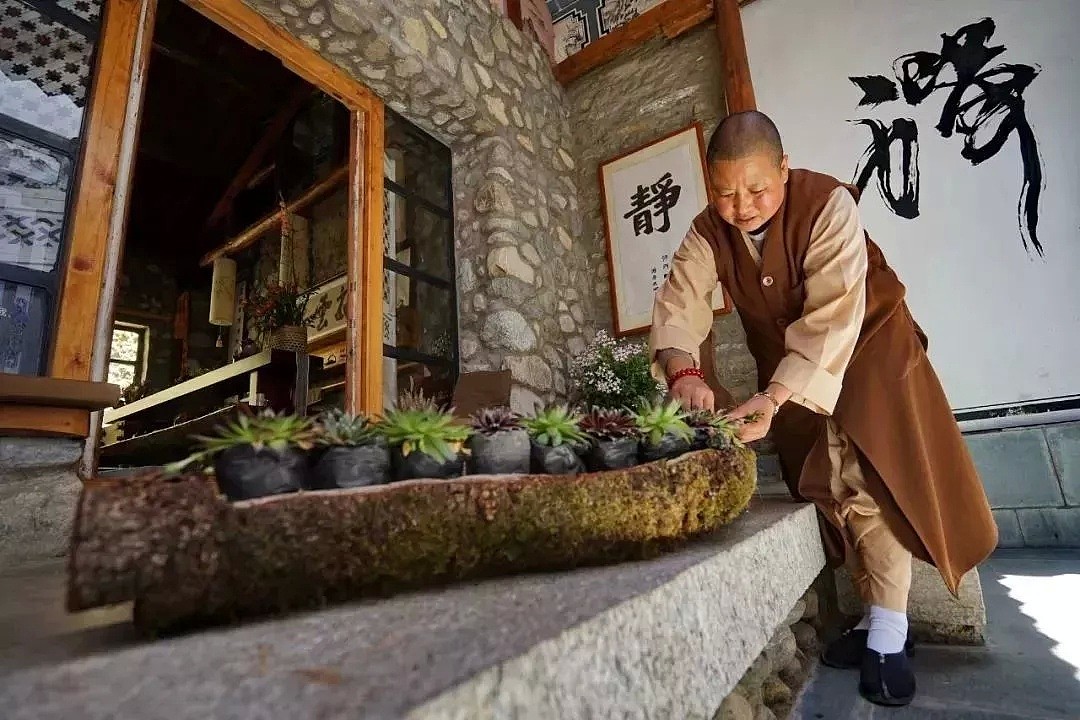 中国最美的尼姑庵，不烧香只种花，看一眼就想出家！韩红也慕名而来（组图） - 97