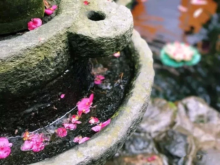 中国最美的尼姑庵，不烧香只种花，看一眼就想出家！韩红也慕名而来（组图） - 99