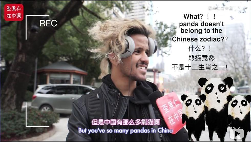外国小哥：啥？！熊猫竟然不是十二生肖之一？（组图） - 11