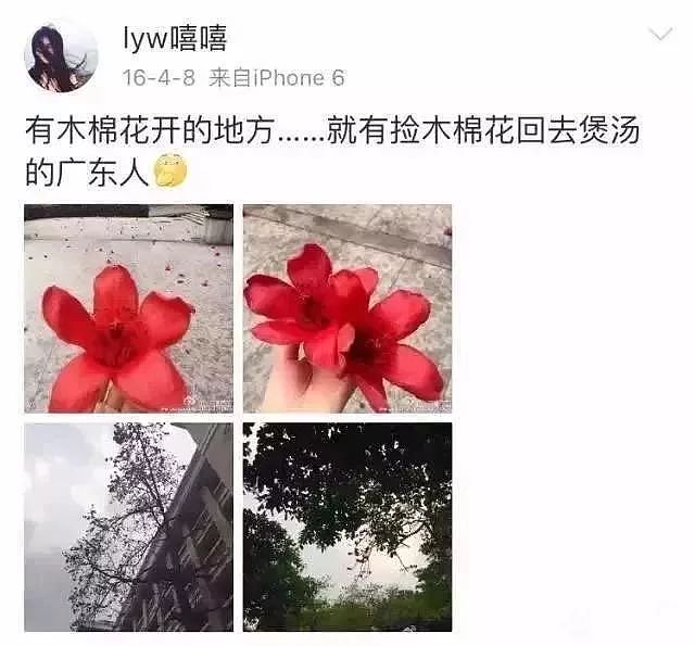 “对不起，你是广州人，我不能和你做朋友”（组图） - 12