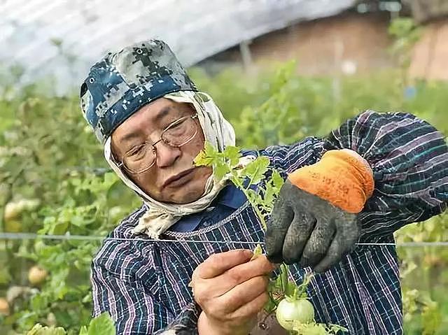 73岁日本老头跑到中国当农民，被骂“骗子”、“神经病”，10年后结果让人傻眼