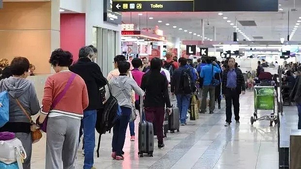 中国男子刚到澳洲机场就被捕！这些华人爱吃爱买的千万别带入澳，遣返罚款没商量！（组图） - 7
