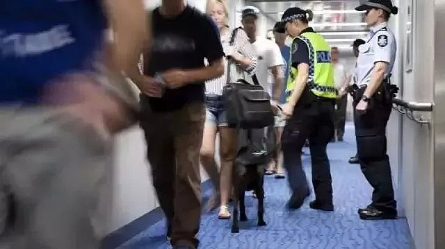 中国男子刚到澳洲机场就被捕！这些华人爱吃爱买的千万别带入澳，遣返罚款没商量！（组图） - 37