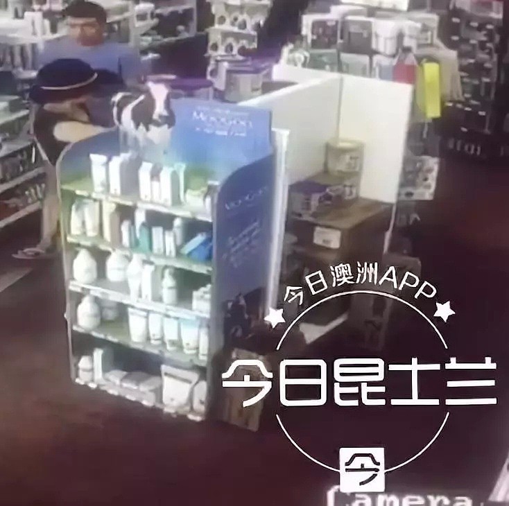布村亚裔大妈药店顺走三罐奶粉，店员：她还在其他店偷过维他命（视频/组图） - 5