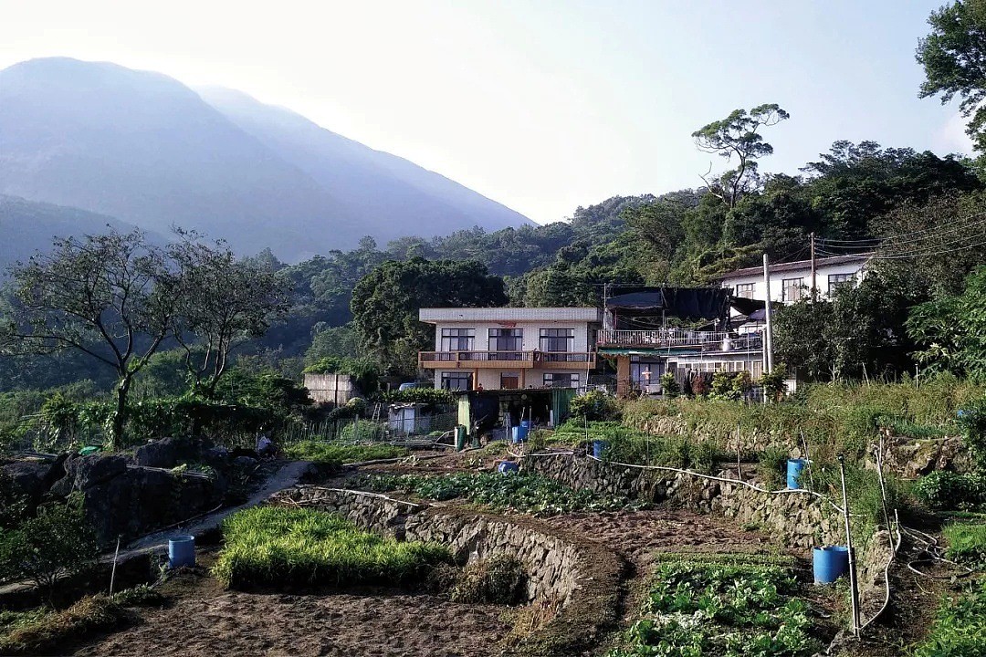 女编辑33岁辞职，追随采访对象住进深山，每天只用2小时工作挣钱（视频/图） - 7