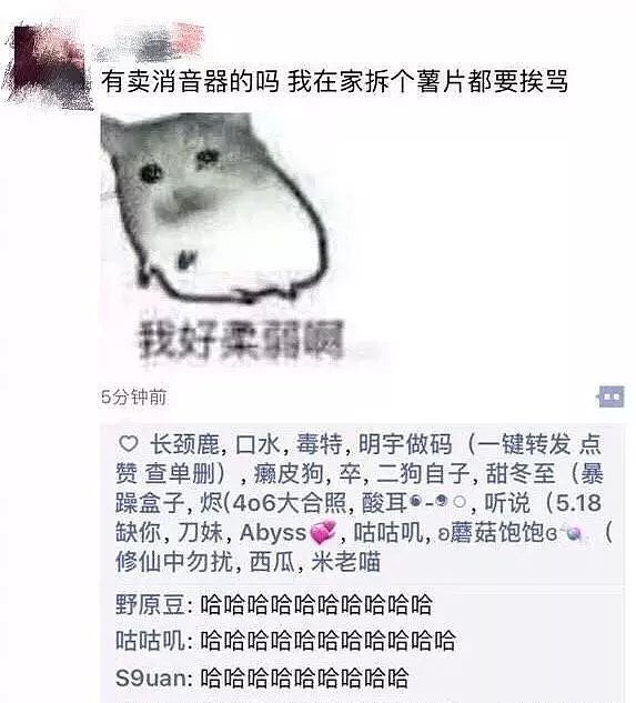 深更半夜打开了朋友圈，结果tm彻底笑疯了哈哈哈哈哈哈哈哈（组图） - 12